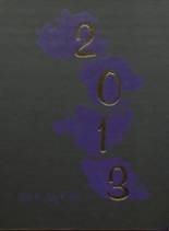 2013 Pittsville High School Yearbook from Pittsville, Wisconsin cover image