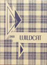 New London-Spicer High School 1960 yearbook cover photo