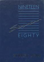 1987 Hopkins Academy Yearbook from Hadley, Massachusetts cover image