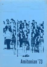 Amity High School 1973 yearbook cover photo