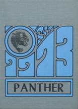 1973 Oconto Falls High School Yearbook from Oconto falls, Wisconsin cover image