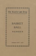 1917 Nelsonville High School Yearbook from Nelsonville, Ohio cover image