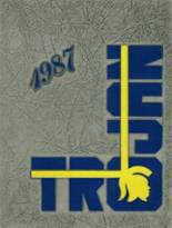 Findlay High School 1987 yearbook cover photo