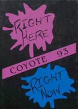 Jones County High School 1993 yearbook cover photo