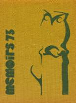 1973 Dundalk High School Yearbook from Baltimore, Maryland cover image