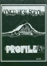 Dover High School 1981 yearbook cover photo