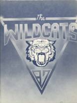 Edmonson County High School 1987 yearbook cover photo