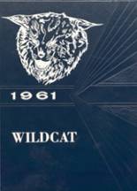 Willow River High School 1961 yearbook cover photo