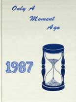 Elmwood Public School 1987 yearbook cover photo