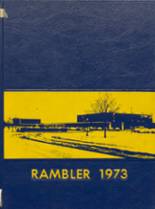 Spring-Ford High School 1973 yearbook cover photo