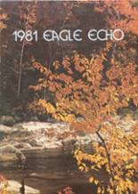 Sauk Prairie High School 1981 yearbook cover photo