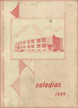 Adamsville High School 1959 yearbook cover photo