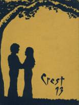 1973 St. John's High School Yearbook from Delphos, Ohio cover image