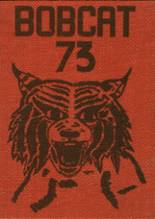Celina High School 1973 yearbook cover photo