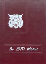 Henry County High School 1970 yearbook cover photo