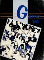 Dickinson High School 1985 yearbook cover photo