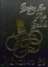 1989 Seiling High School Yearbook from Seiling, Oklahoma cover image