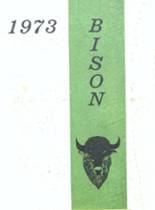 Carlisle High School 1973 yearbook cover photo