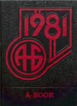 1981 Aitkin High School Yearbook from Aitkin, Minnesota cover image