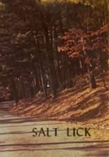 Salisbury-Elk Lick High School 1978 yearbook cover photo