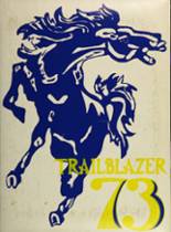 North Mesquite High School 1973 yearbook cover photo