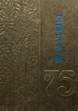 1975 Holdenville High School Yearbook from Holdenville, Oklahoma cover image