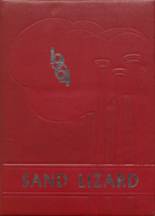 Dardanelle High School 1964 yearbook cover photo