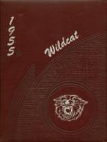 Stokes Township High School 1955 yearbook cover photo