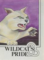 Wilmington High School 1985 yearbook cover photo