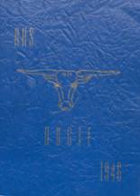 1946 Newcastle High School Yearbook from Newcastle, Wyoming cover image