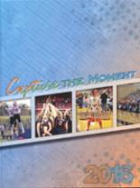 2016 Stanton High School Yearbook from Stanton, Nebraska cover image