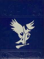 1971 Sanford-Fritch High School Yearbook from Fritch, Texas cover image