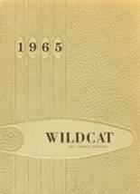 1965 Goodhue High School Yearbook from Goodhue, Minnesota cover image
