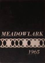 Grand Meadow High School 1965 yearbook cover photo