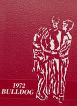 1972 Ainsworth High School Yearbook from Ainsworth, Nebraska cover image