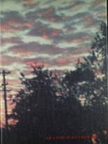 Hastings High School 1975 yearbook cover photo