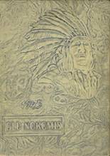 1945 Nokomis High School Yearbook from Nokomis, Illinois cover image