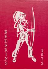 1973 St. Johns High School Yearbook from St. johns, Arizona cover image