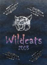 2003 Mayville High School Yearbook from Mayville, Michigan cover image