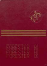 1981 Forest Lake High School Yearbook from Forest lake, Minnesota cover image