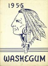 Bottineau High School 1955 yearbook cover photo