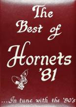 1981 Hudson High School Yearbook from Lufkin, Texas cover image