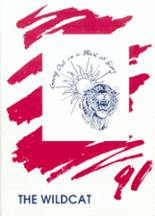 1991 West Lyon High School Yearbook from Inwood, Iowa cover image