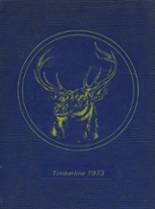 1973 Lake Quinault High School Yearbook from Amanda park, Washington cover image