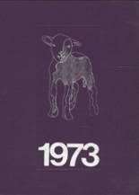 Ft. Collins High School 1973 yearbook cover photo