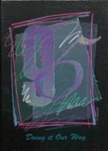 1995 Livermore Falls High School Yearbook from Livermore falls, Maine cover image