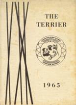 1965 Litchfield High School Yearbook from Litchfield, Michigan cover image