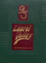 Laurel Valley High School 1995 yearbook cover photo