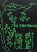 1993 Golden Plains High School Yearbook from Rexford, Kansas cover image