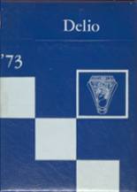 1973 Odell Community High School Yearbook from Odell, Illinois cover image